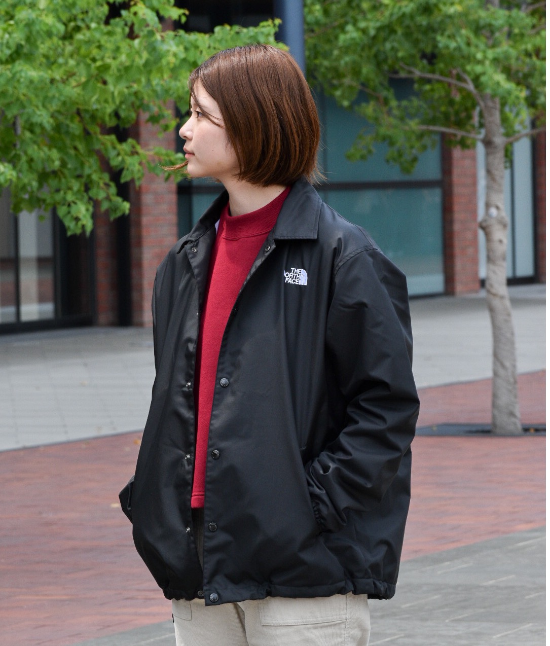 B:MING by BEAMS（ビーミング by ビームス）THE NORTH FACE / コーチジャケット（ブルゾン ブルゾン）通販｜BEAMS